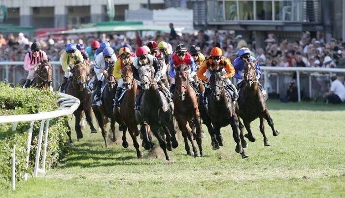 Ein Beispiel für ein Flachrennen ist das Deutsche Galopper Derby.