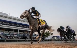 Der Pegasus World Cup 2021 fand im Gulfstream Park in Florida statt.