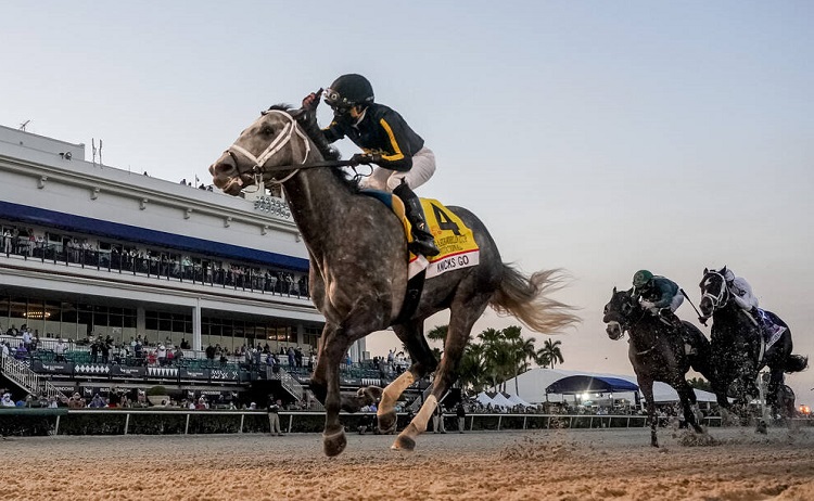 <em> <strong>Abbildung oben:</strong> Zieleinlauf beim Pegasus World Cup 2021 im Gulfstream Park von Florida</em>